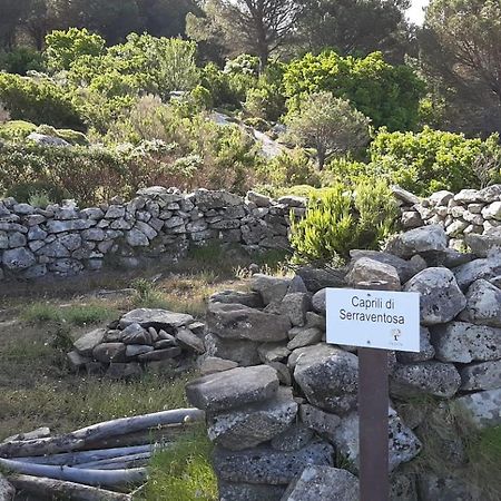 Casa Vacanze Il Pastore Tedesco Portoferraio Kültér fotó