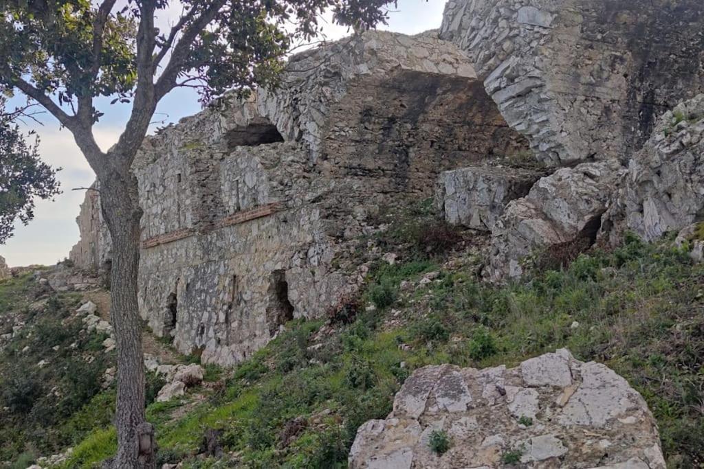 Casa Vacanze Il Pastore Tedesco Portoferraio Kültér fotó