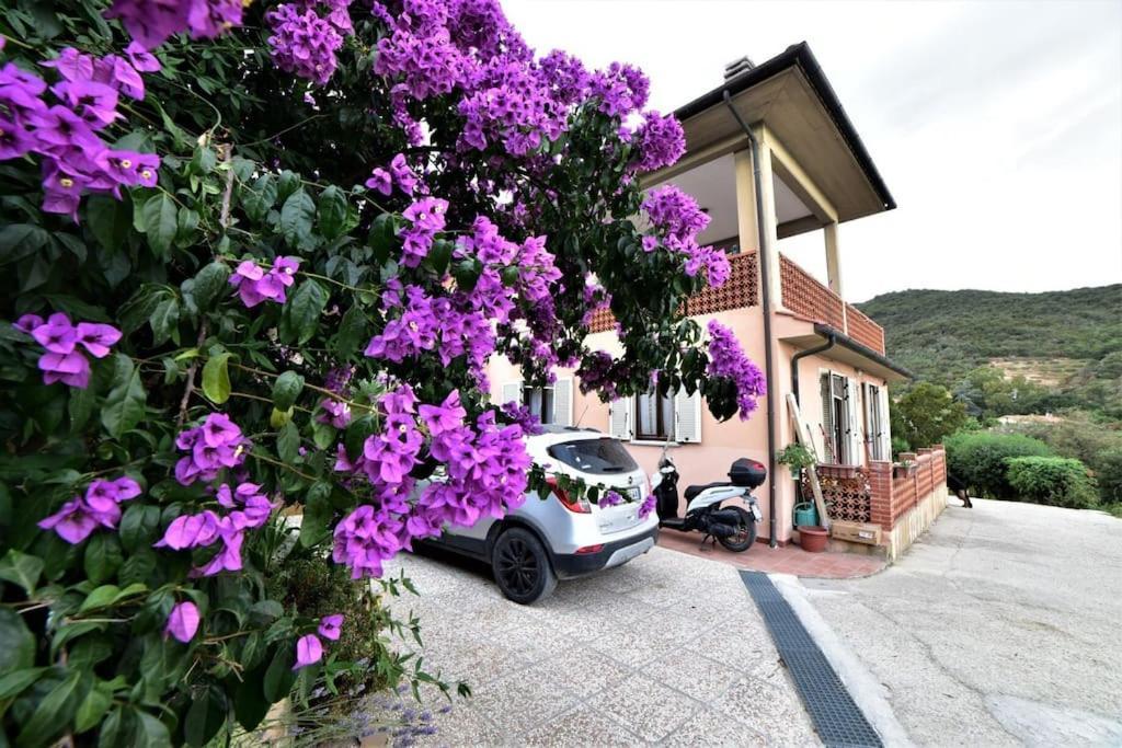 Casa Vacanze Il Pastore Tedesco Portoferraio Kültér fotó