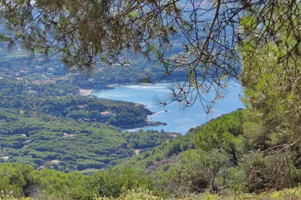 Casa Vacanze Il Pastore Tedesco Portoferraio Kültér fotó