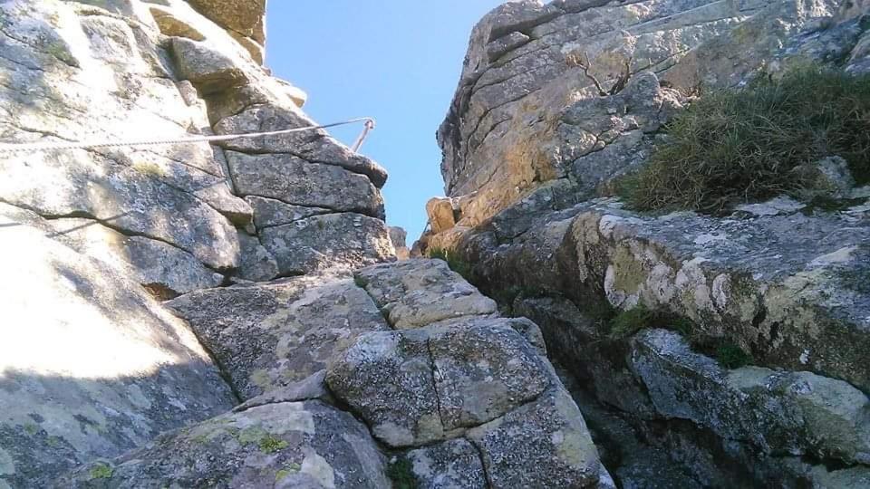 Casa Vacanze Il Pastore Tedesco Portoferraio Kültér fotó