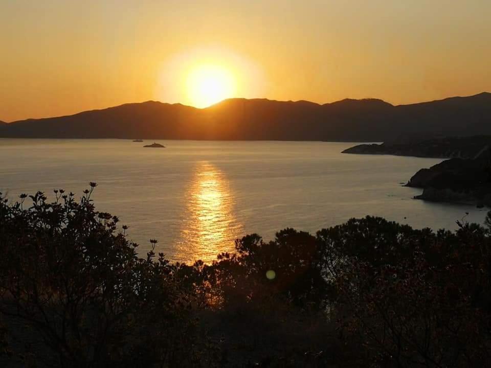 Casa Vacanze Il Pastore Tedesco Portoferraio Kültér fotó