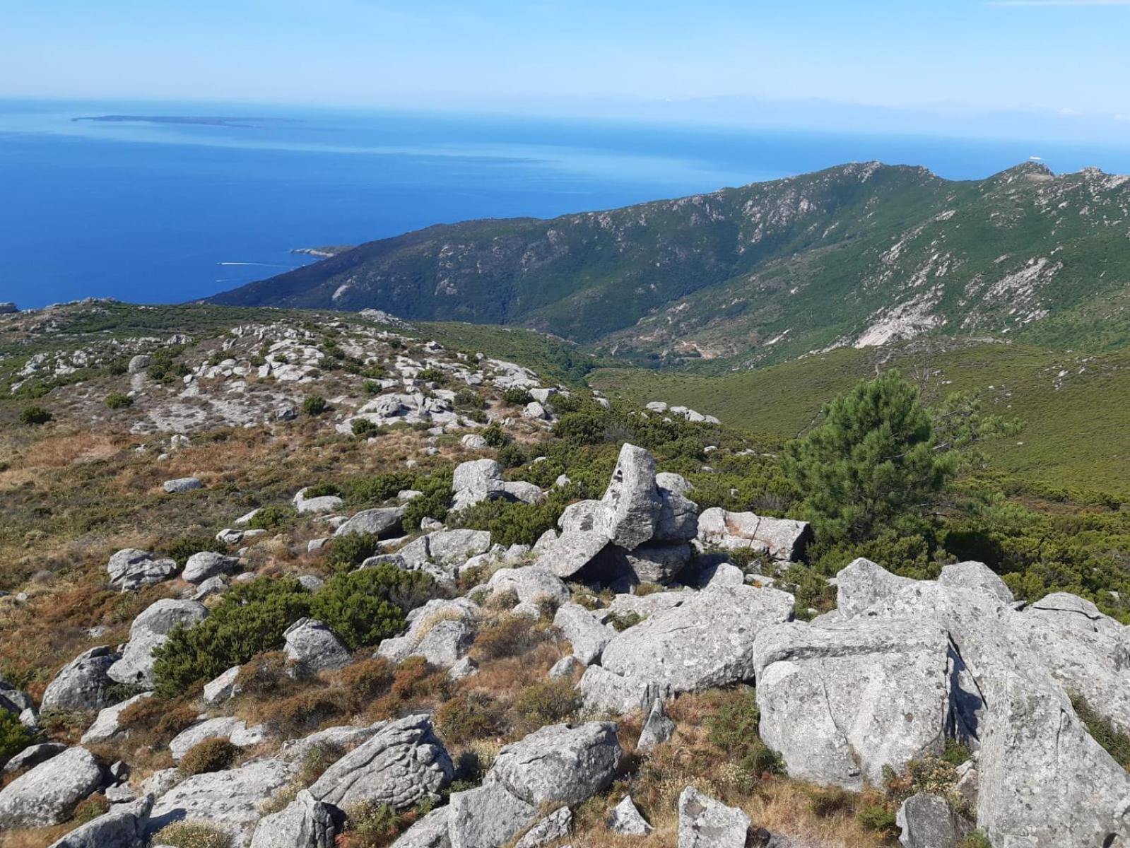 Casa Vacanze Il Pastore Tedesco Portoferraio Kültér fotó