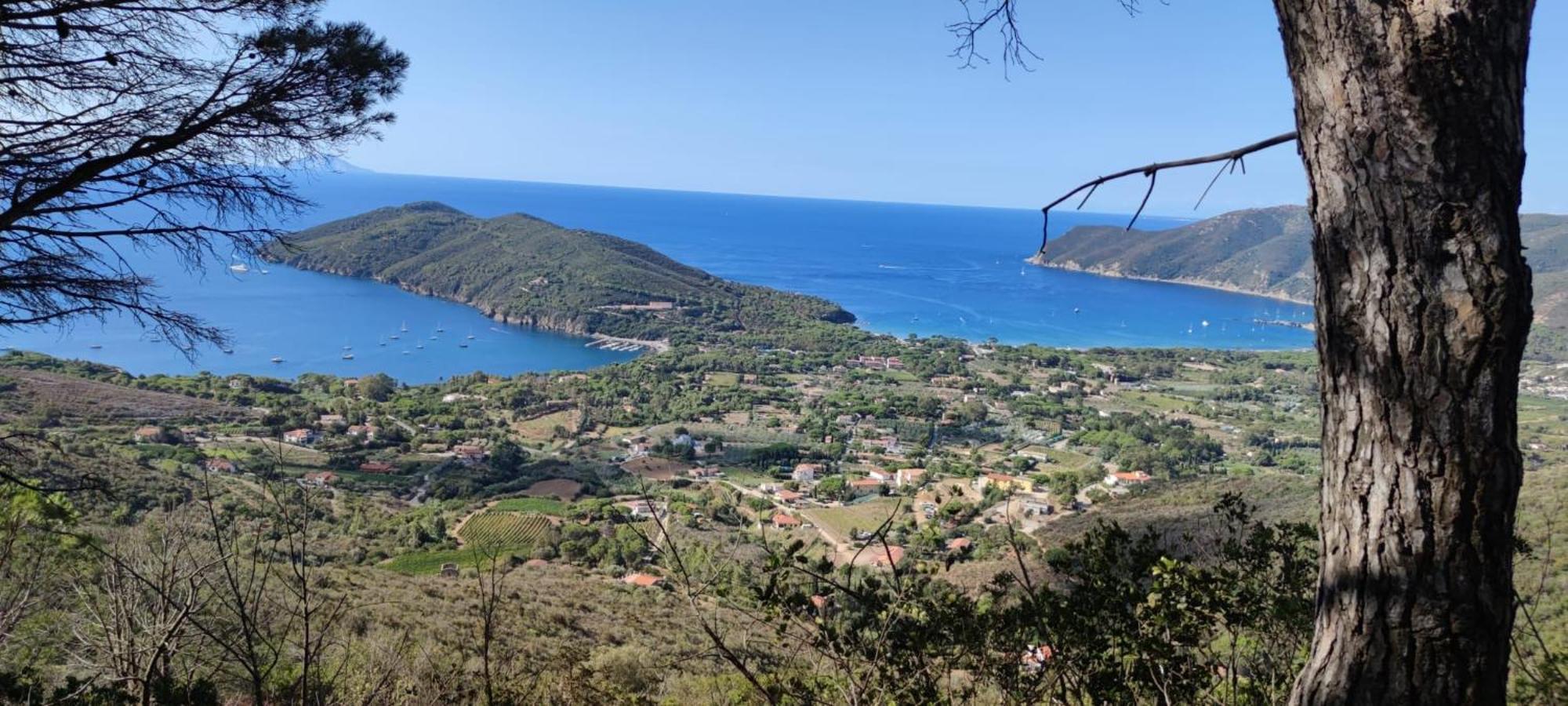 Casa Vacanze Il Pastore Tedesco Portoferraio Kültér fotó