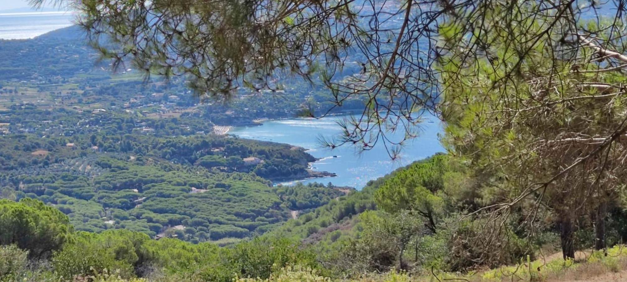Casa Vacanze Il Pastore Tedesco Portoferraio Kültér fotó