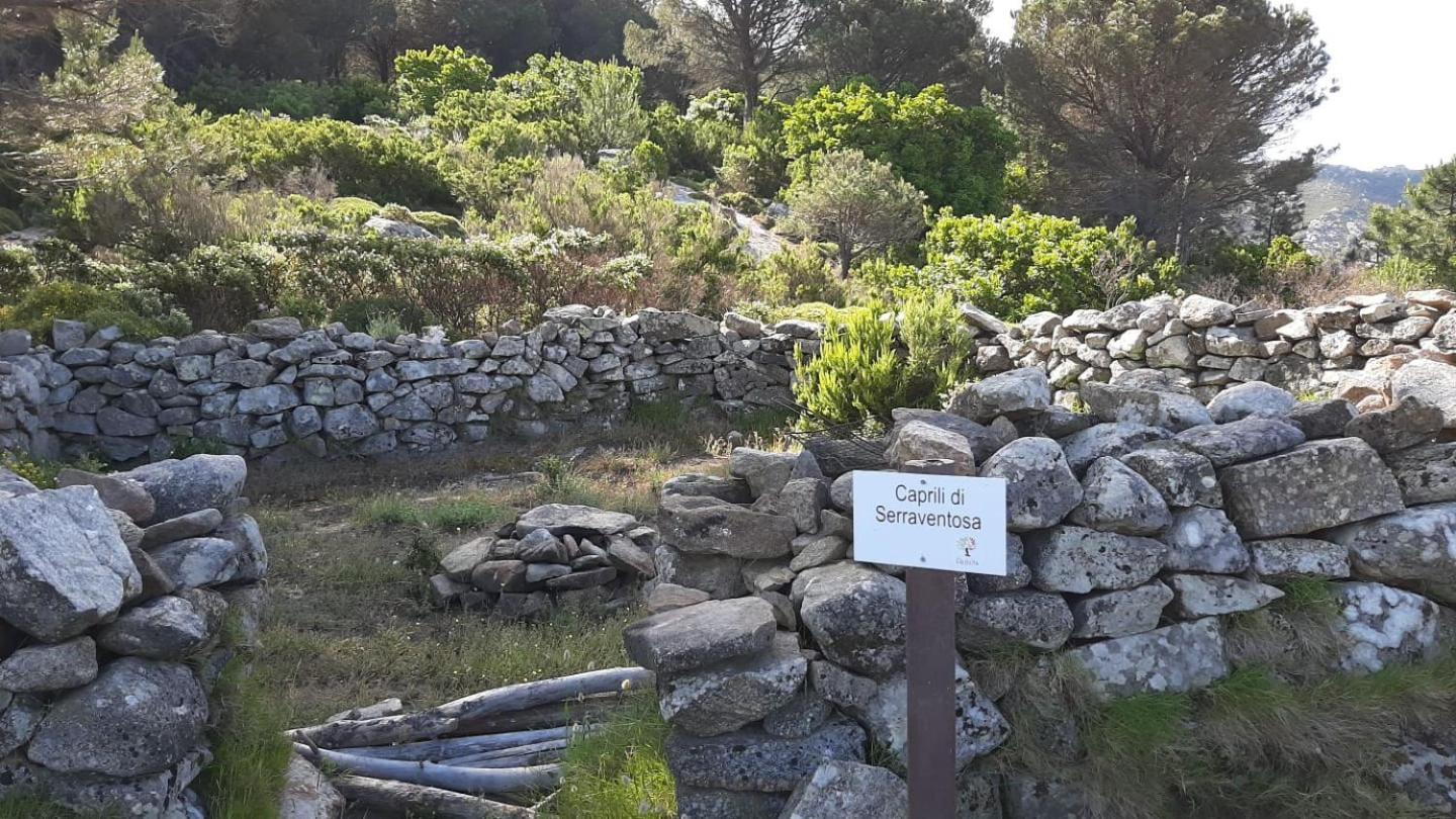 Casa Vacanze Il Pastore Tedesco Portoferraio Kültér fotó